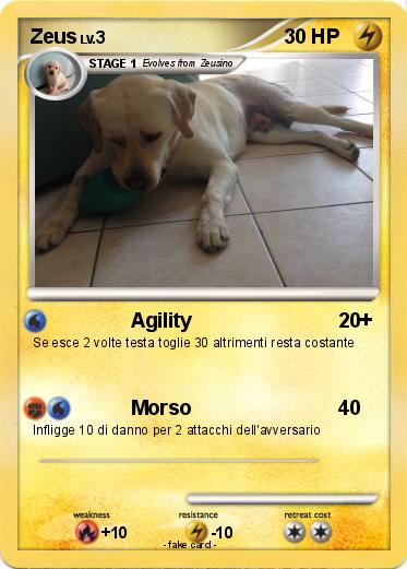 Pokemon Zeus