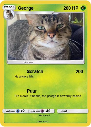 Pokemon George