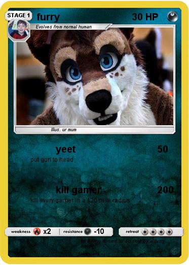 Pokemon furry