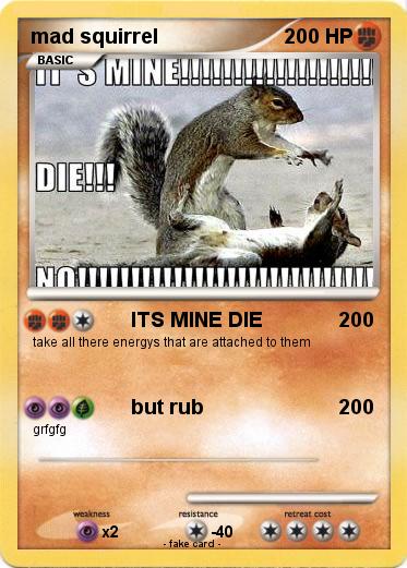 Pokemon mad squirrel
