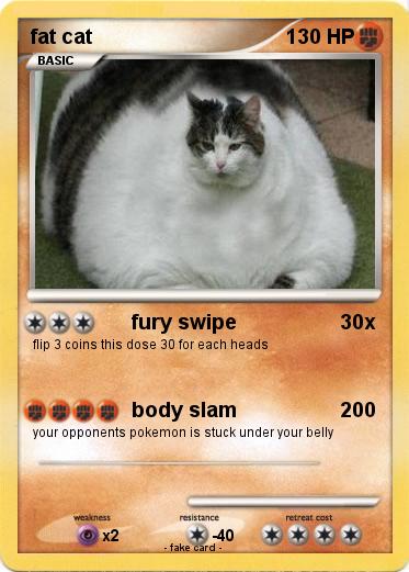 Pokemon fat cat