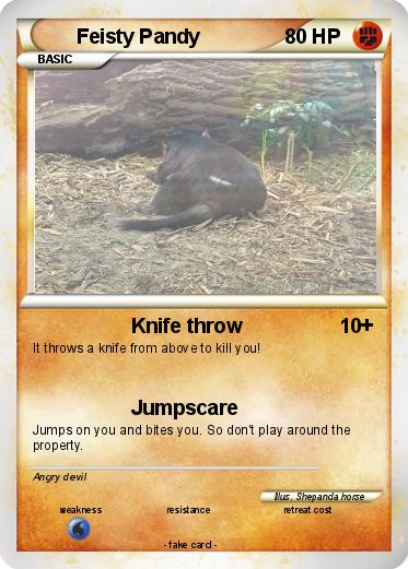Pokemon Feisty Pandy
