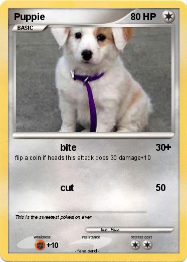 Pokemon Puppie