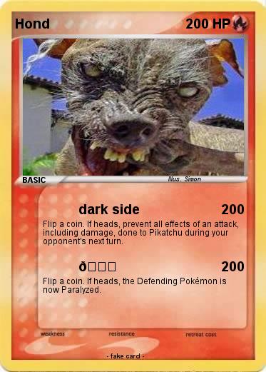 Pokemon Hond