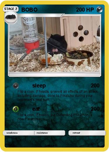 Pokemon BOBO