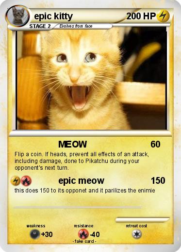 Pokemon epic kitty