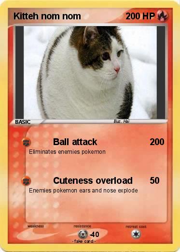 Pokemon Kitteh nom nom