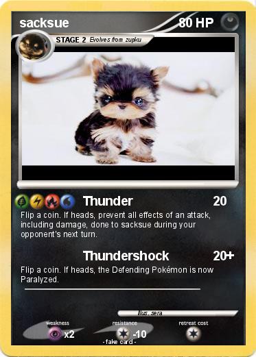 Pokemon sacksue