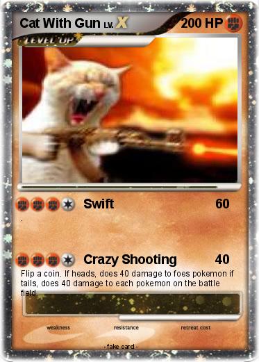 Pokemon Cat With Gun