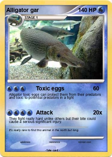 Pokemon Alligator gar
