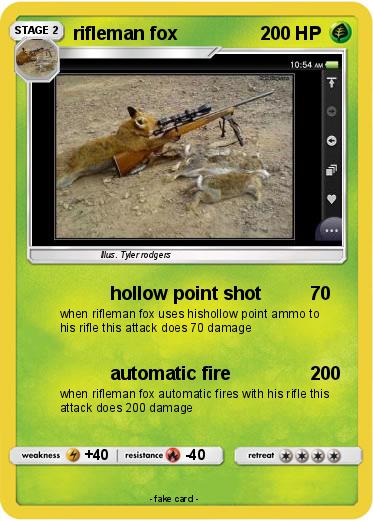 Pokemon rifleman fox