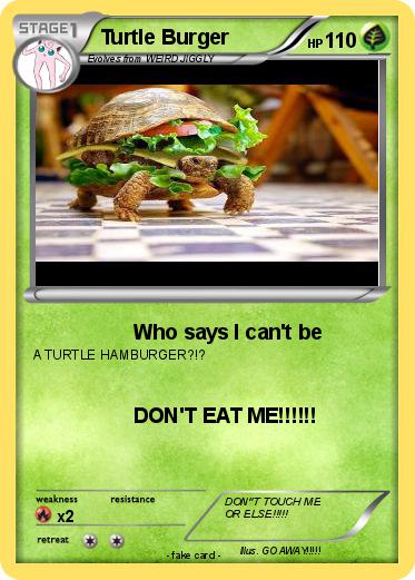 Pokemon Turtle Burger