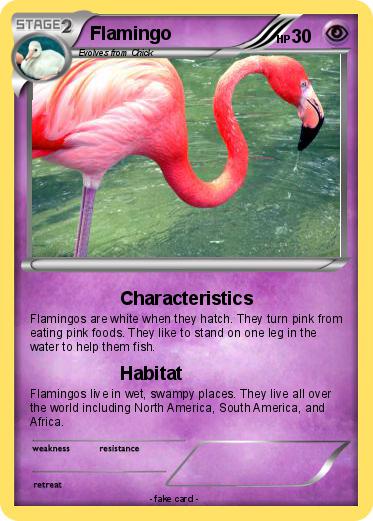 Pokemon Flamingo