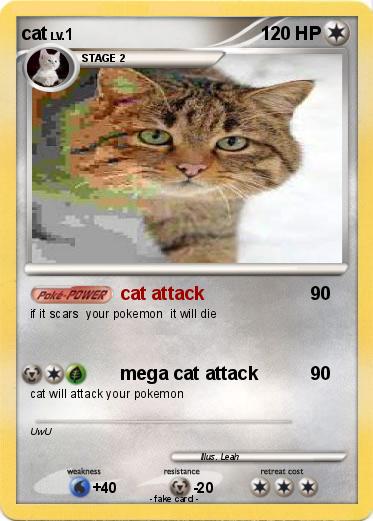 Pokemon cat