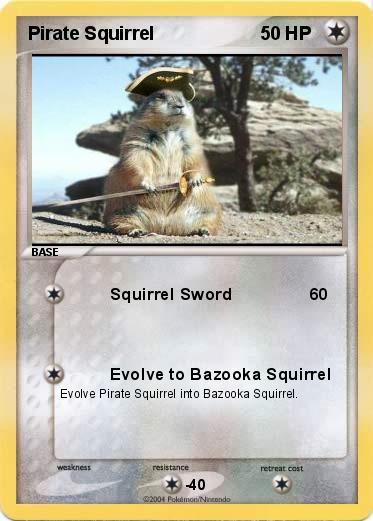 Pokemon Pirate Squirrel