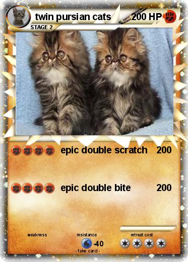 Pokemon twin pursian cats