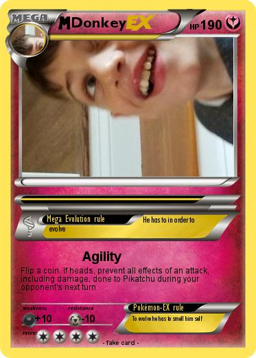 Pokemon Donkey