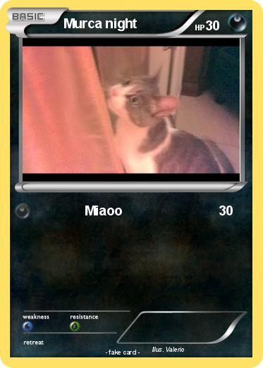 Pokemon Murca night