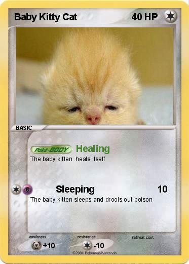 Pokemon Baby Kitty Cat