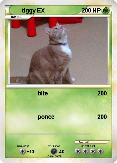 Pokemon tiggy EX
