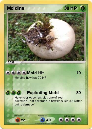 Pokemon Moldina