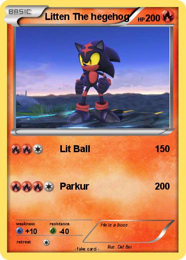 Pokemon Litten The hegehog