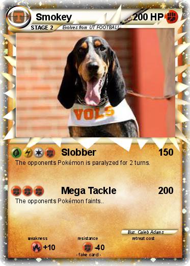 Pokemon Smokey