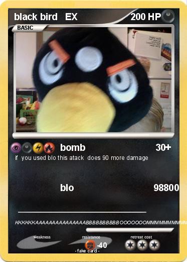 Pokemon black bird   EX