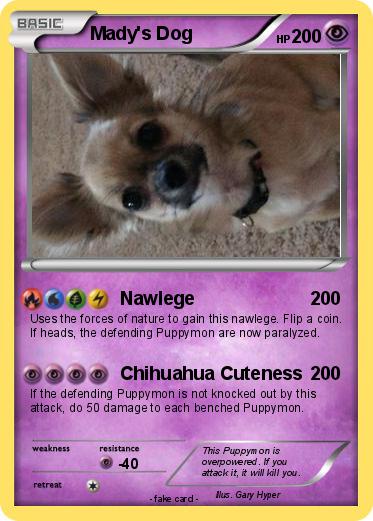 Pokemon Mady's Dog