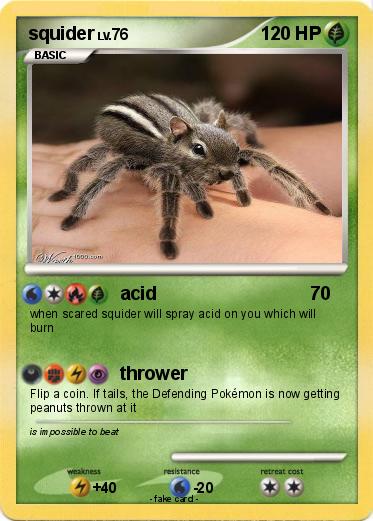 Pokemon squider
