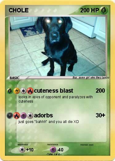 Pokemon CHOLE