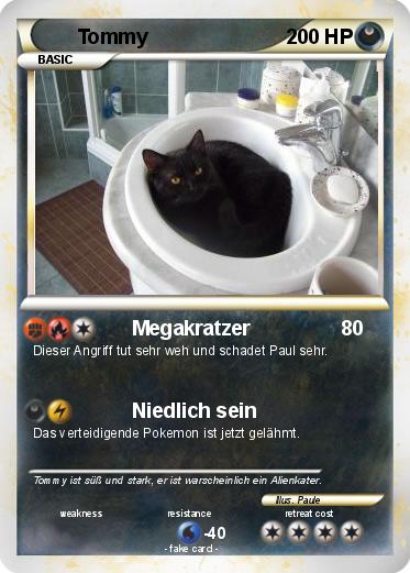 Pokemon Tommy