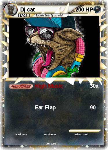 Pokemon Dj cat