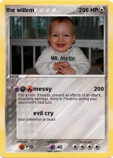 Pokemon the willem