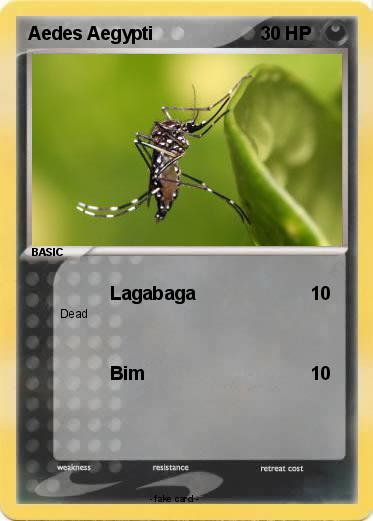Pokemon Aedes Aegypti