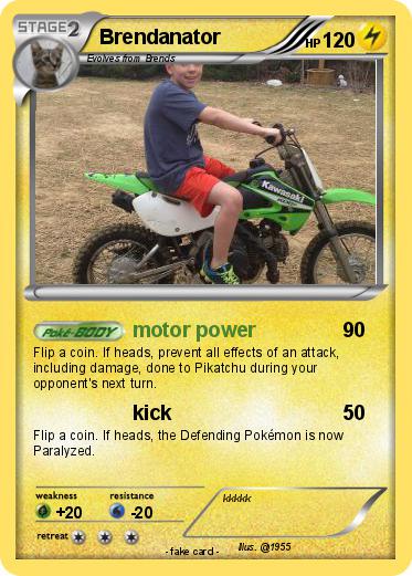 Pokemon Brendanator