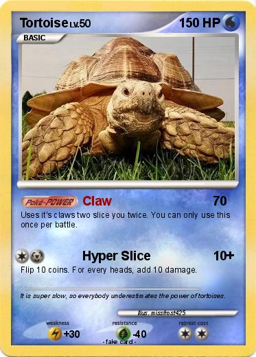 Pokemon Tortoise