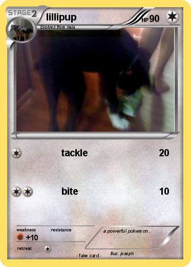 Pokemon lillipup