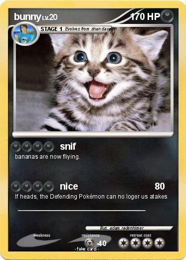 Pokemon bunny