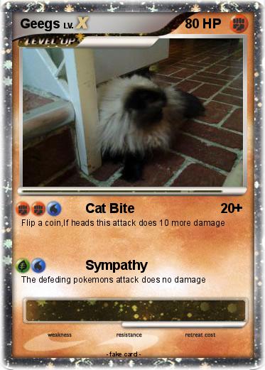 Pokemon Geegs