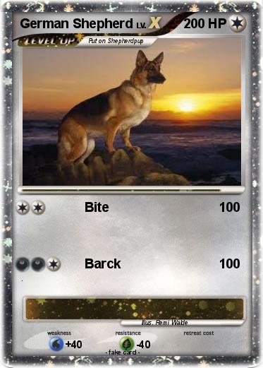 Pokemon German Shepherd