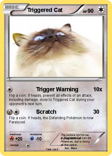 Pokemon Triggered Cat