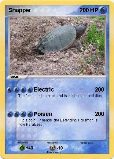 Pokemon Snapper