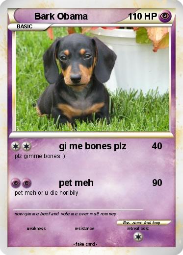 Pokemon Bark Obama