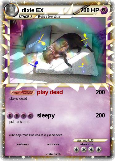 Pokemon dixie EX