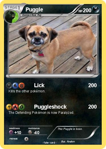 Pokemon Puggle