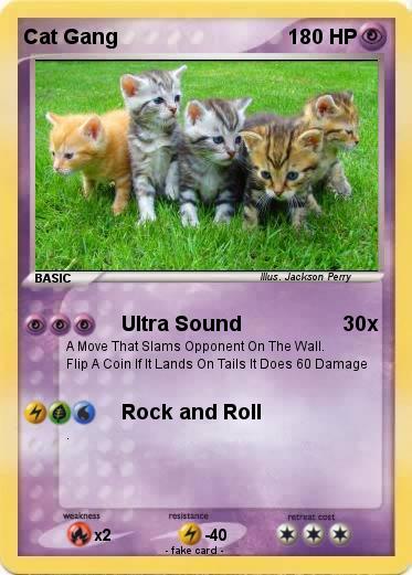 Pokemon Cat Gang