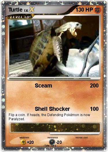 Pokemon Turtle