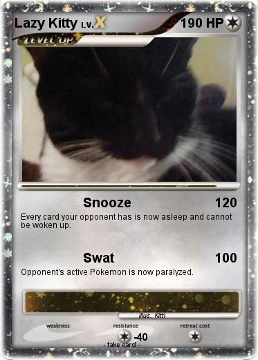 Pokemon Lazy Kitty