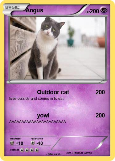 Pokemon Angus